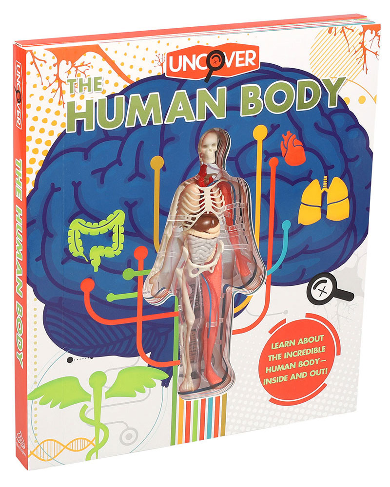 Cover image for Human Body books