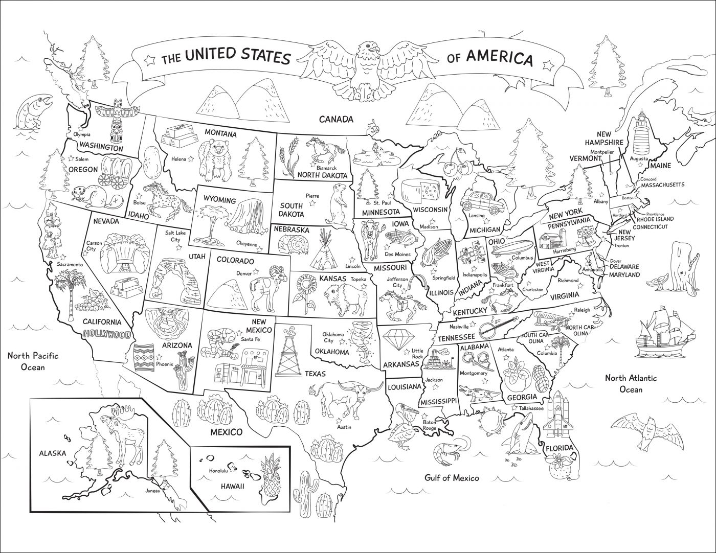 Штаты сша тест карта