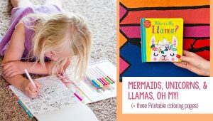 Mermaids, Unicorns, & Llamas... Oh My!