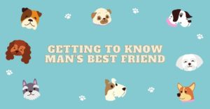 Getting to Know Man’s Best Friend
